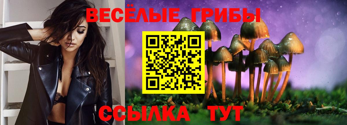 Тобольск  Галлюциногенные грибы ЛСД  Галлюциногенные грибы Psilocybe  Вход с VPN 