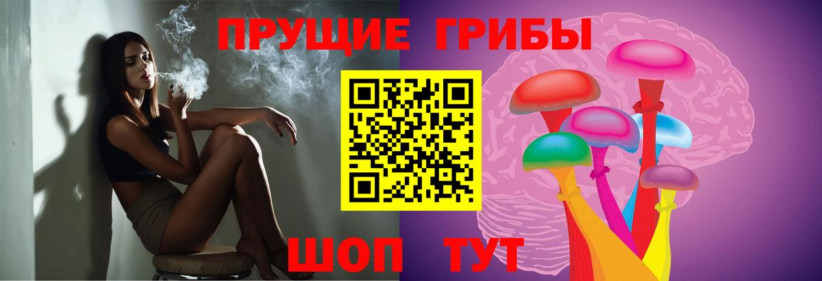 Галлюциногенные грибы Cubensis Тобольск